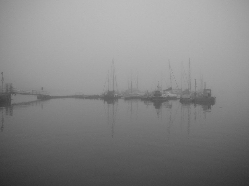 Train Horn vs Marine Fog Horn: Which Is Louder and Which Belongs on Your Boat?