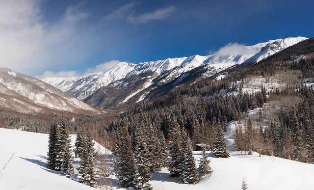Are Train Horns Legal in Colorado? Noise Limits for M18-Compatible Horns